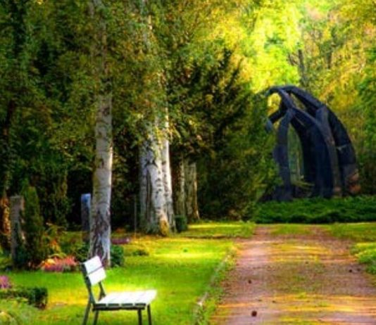 Tips for Creative Home Garden Design